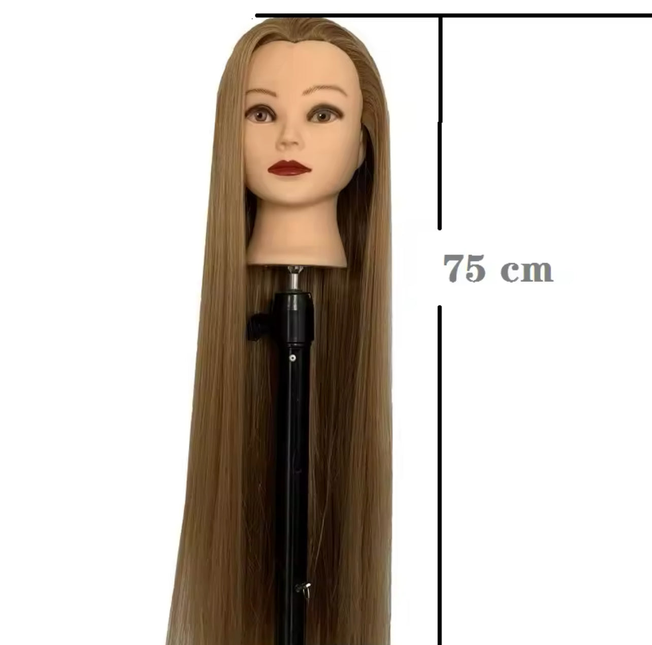 Tête Maléable